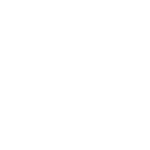 ICON_Performance_white
