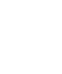 ICON_Protect_white